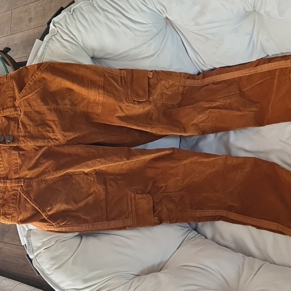 Sanctuary cargo pants